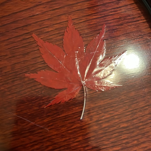 Japaness lacquered round Wood tray - Picture 4 of 7